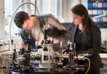 Tech: Physical reality of the Preisach model for organic ferroelectrics — (Report)