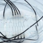 Study: Nerve-on-a-chip platform makes neuroprosthetics more effective — (Details)