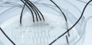 Study: Nerve-on-a-chip platform makes neuroprosthetics more effective — (Details)