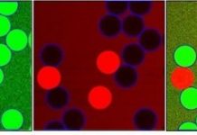 Tech: A molecular sensor for in-situ analysis of complex biological fluids — (Report)