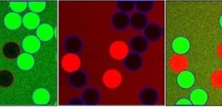 Tech: A molecular sensor for in-situ analysis of complex biological fluids — (Report)