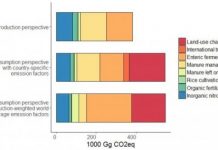 Research: For a lower climate footprint, vegetarian diet beats local —