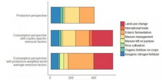 Research: For a lower climate footprint, vegetarian diet beats local —