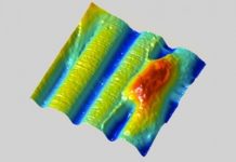 Research: Scientists use ‘shrink ray’ for biomedical research —