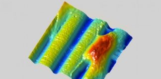 Research: Scientists use ‘shrink ray’ for biomedical research —