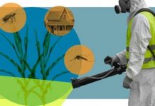 Research: Harmful pesticides lurking in New York State homes —