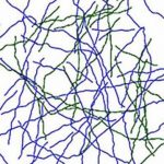 Study: To see what’s right in front of you, your brain may need some rewiring — (Details)