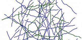 Study: To see what’s right in front of you, your brain may need some rewiring — (Details)