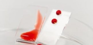 Research: New surfaces create promise of safer implants, more accurate diagnostic tests —