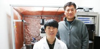 Study: New study uncovers the interaction of calcium channels — (Details)