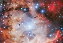 Tech: The pirate of the southern skies — (Report)