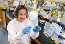 Research: Enabling tools for breeding plants for high yield with less fertilizer —