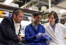 Research: Enzyme can target almost half of the genome’s ‘zipcodes’ and could enable editing of many more disease-specific mutations —