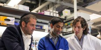 Research: Enzyme can target almost half of the genome’s ‘zipcodes’ and could enable editing of many more disease-specific mutations —