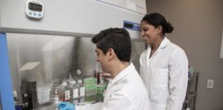 Study: New devices to test retinal cells — (Details)