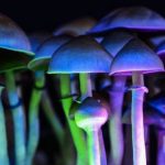 Study: Can tiny doses of magic mushrooms unlock creativity? (Details)