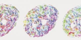 Research: DNA ‘dances’ in first explanation of how genetic material flows through a nucleus —