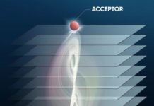Tech: Study breaks Förster resonant energy transfer (FRET) distance limit — (Report)
