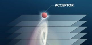 Tech: Study breaks Förster resonant energy transfer (FRET) distance limit — (Report)