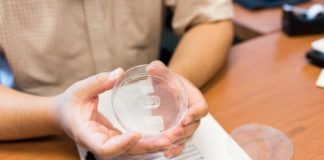 Tech: ‘Once the gut barrier has been damaged, probiotics can be harmful just like any other bacteria’ — (Report)