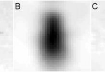 Research: Artificial fly brain can tell who’s who —