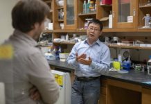 Offbeat: How the brain decides what to learn —