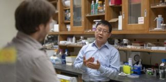 Offbeat: How the brain decides what to learn —