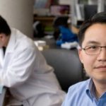 Study: Link between DNA-protein binding, cancer onset identified — (Details)