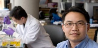 Study: Link between DNA-protein binding, cancer onset identified — (Details)