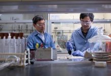 Tech: New tools for creating mirrored forms of molecules — (Report)