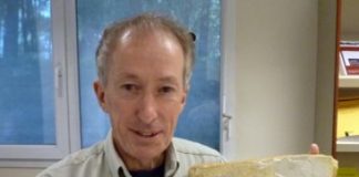 Research: New species of ‘missing link’ between dinosaurs and birds identified —