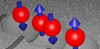 Tech: Shielded quantum bits — (Report)