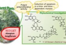 Research: Bioactive novel compounds from endangered tropical plant species —