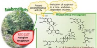 Research: Bioactive novel compounds from endangered tropical plant species —