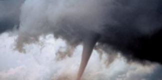 Research: Should we be more transparent with data? —