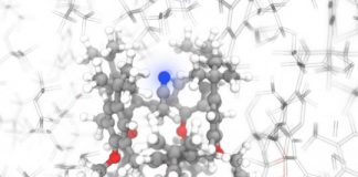 Study: AI and NMR spectroscopy determine atoms configuration in record time — (Details)