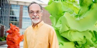 Research: Whole-system view of plant cold stress —