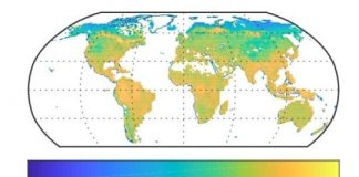 Research: Weaker land-climate feedbacks predicted when accounting more fully for nutrient uptake by plants —