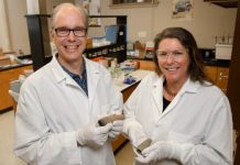 Research: Molecular analysis of pipes uncovers longest record of use —