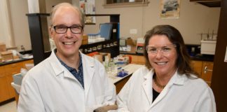 Research: Molecular analysis of pipes uncovers longest record of use —