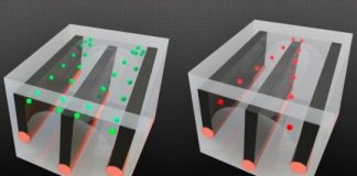 Study: Inside these fibers, droplets are on the move — (Details)