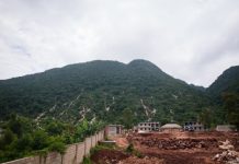 Research: Animal species becoming extinct in Haiti as deforestation nearly complete —