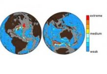 Research: Ocean acidification caused by high levels of human-made CO2 is dissolving the seafloor —