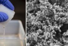 Research: Simple, mass production of giant vesicles using a porous silicone material —