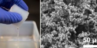 Research: Simple, mass production of giant vesicles using a porous silicone material —