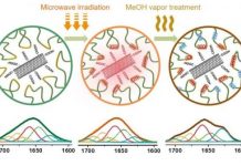 Research: Making a transparent flexible material of silk and nanotubes —