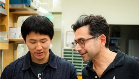 Study: Solving a 100-year mystery in blood pressure research — (Details)