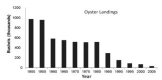Research: Combined landings between 1980 and 2010 dropped by 85 percent —