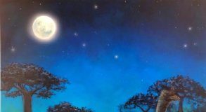 Research: Giant flightless birds were nocturnal and possibly blind —