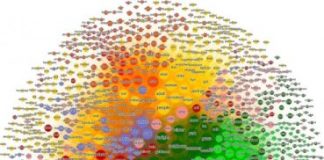 Offbeat: Photos in social media reveal socio-cultural value of landscapes —